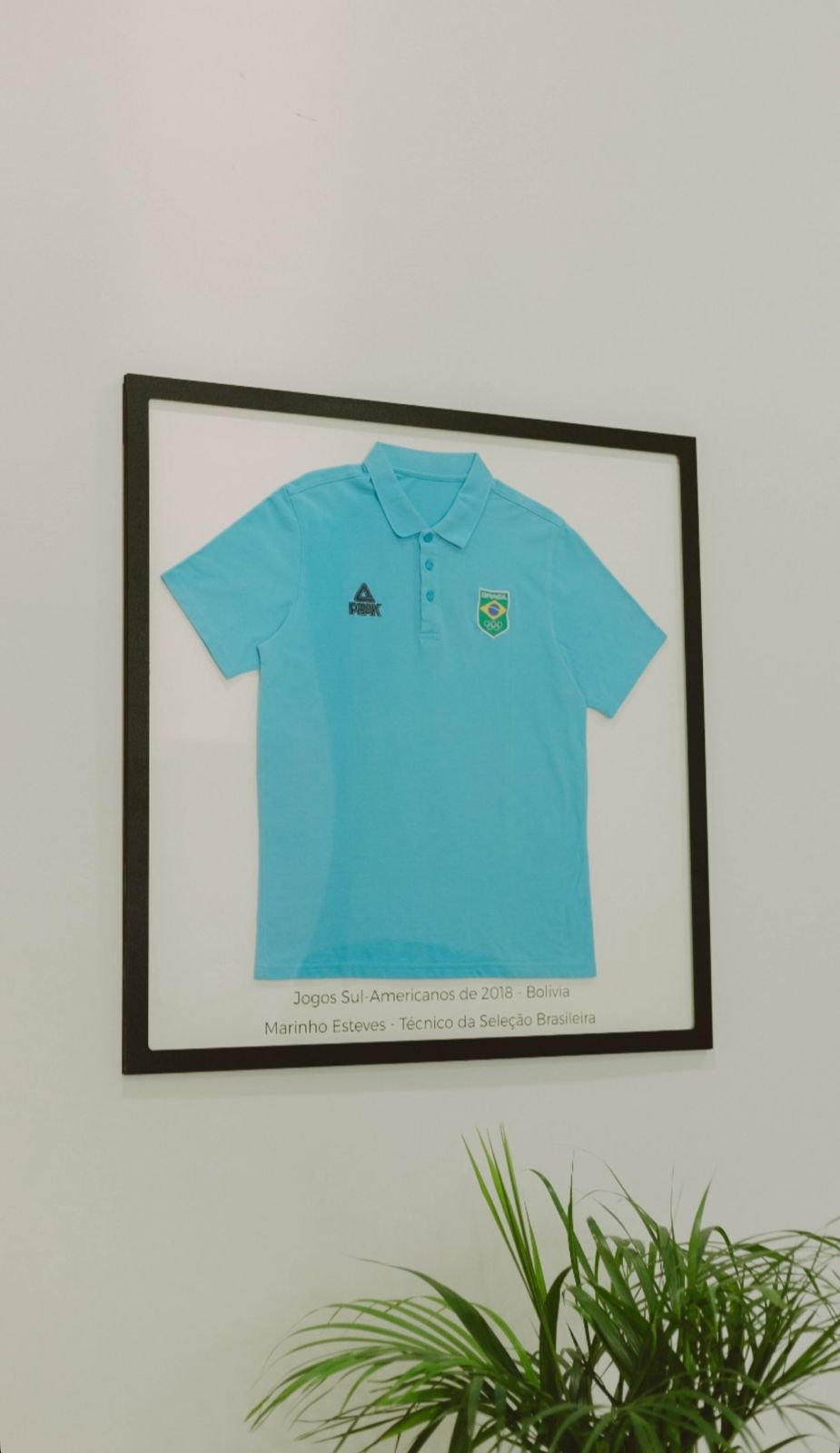 Polo da Seleção Brasileira do técnico Marinho Esteves