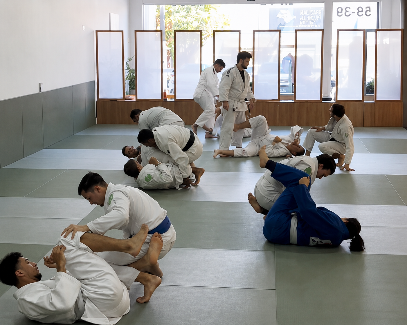 Aula de Jiu-Jitsu